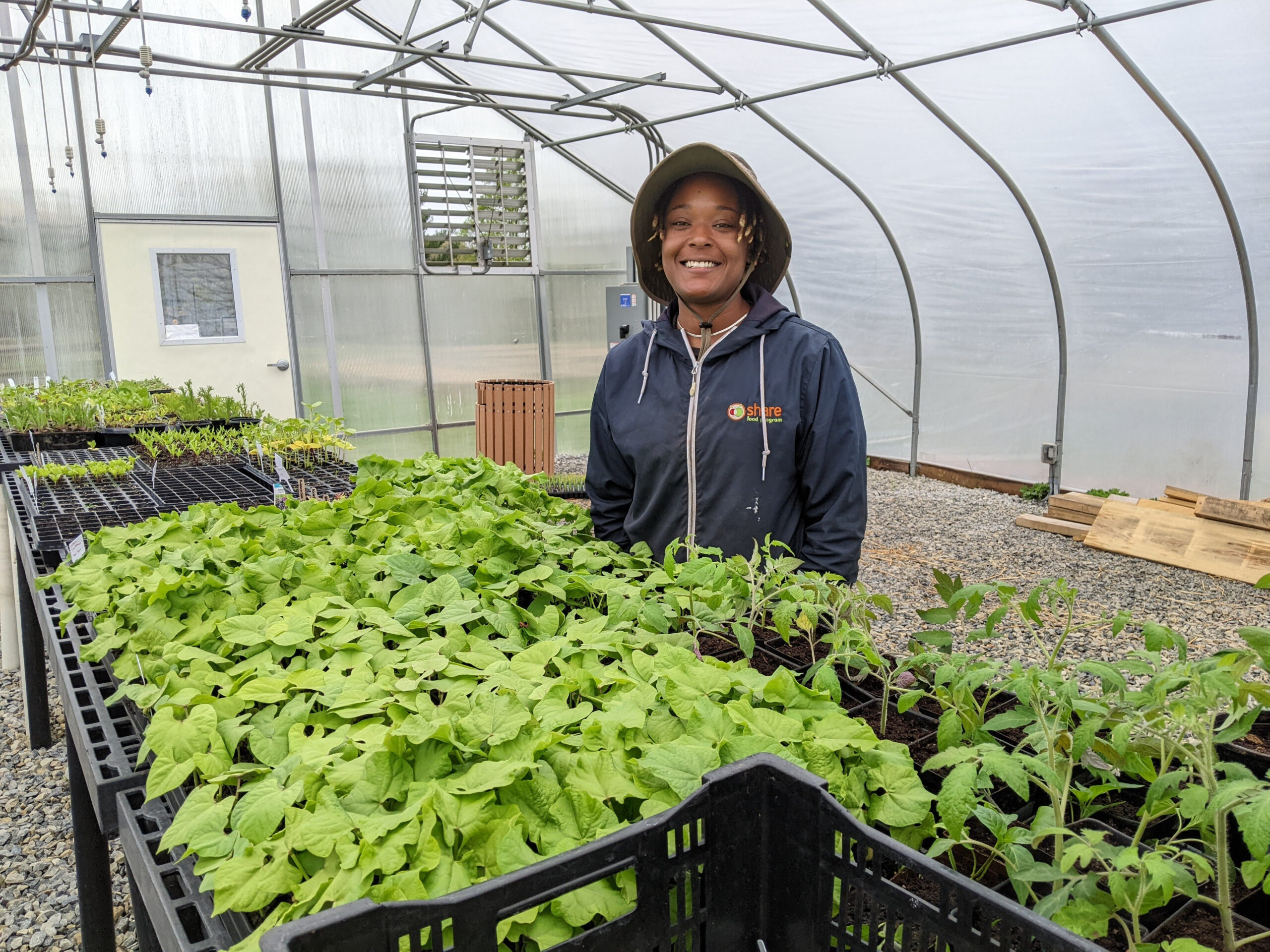 Woman in greenhouse with seedlings